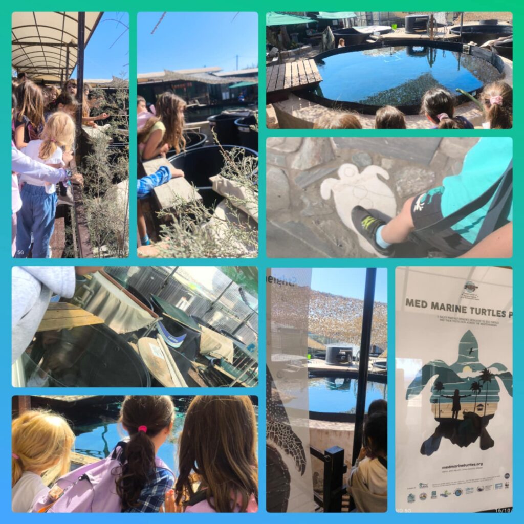 0a5598ca d16e 4c52 beb0 5980a135bbf3